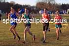 Senior mens 2025 Northern Cross Country Champs, Tatton Park, Knutsford, Cheshire. Photo: David T. Hewitson/Sports for All Pics